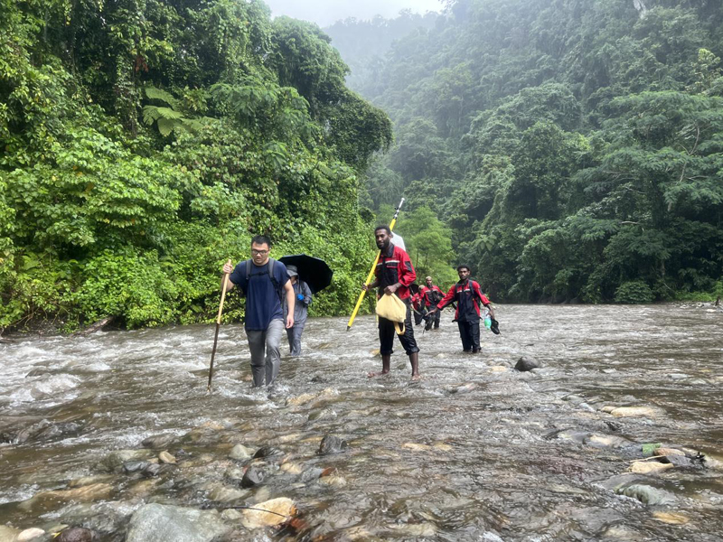 万水千山只容易，，，，，，，，践行六讲勇向前 ——所罗门金岭水电站项目勘探事情侧记